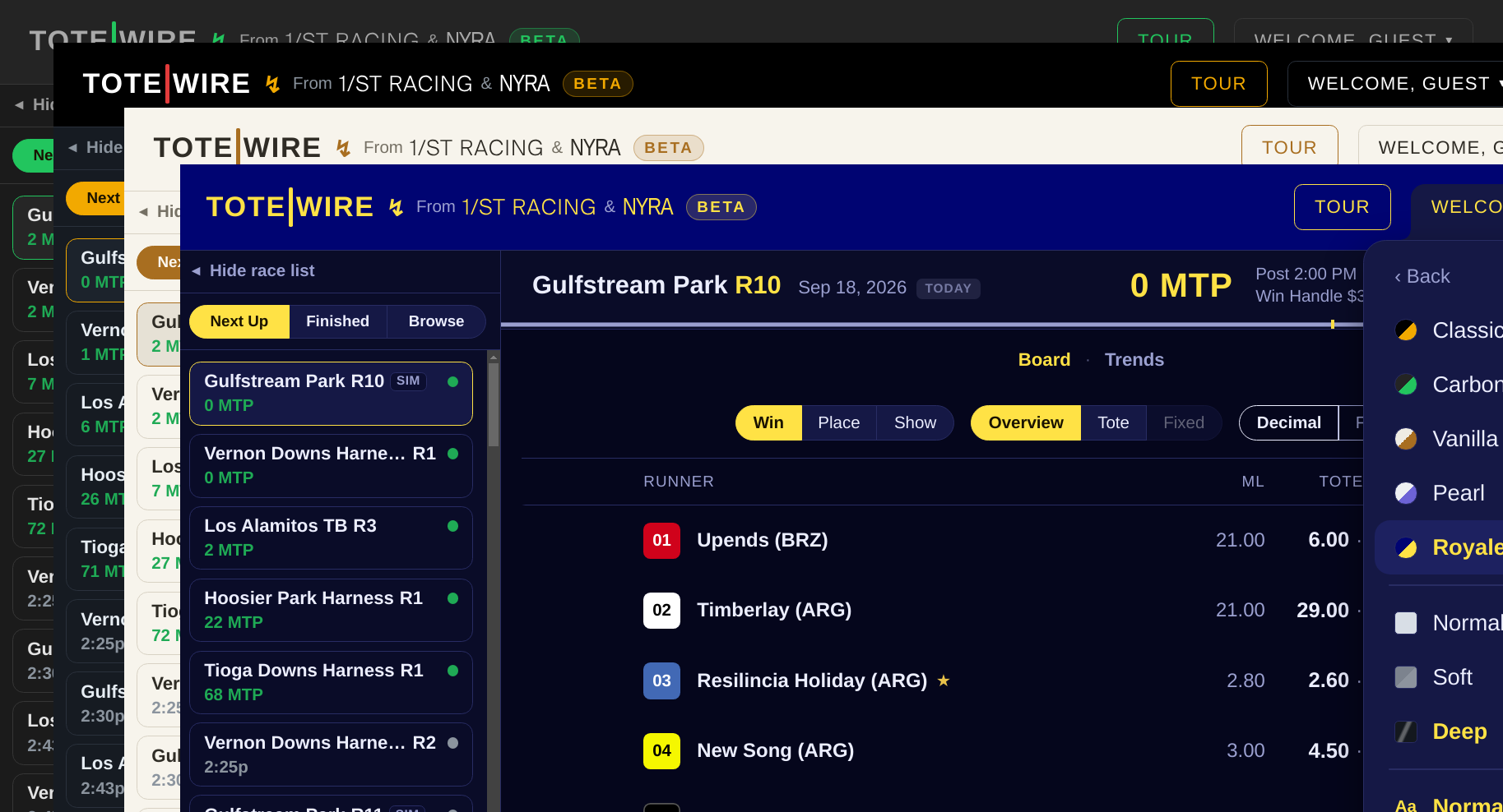 The same screen stacked in several themes, with the theme menu open listing the themes, the shades and the font choices.